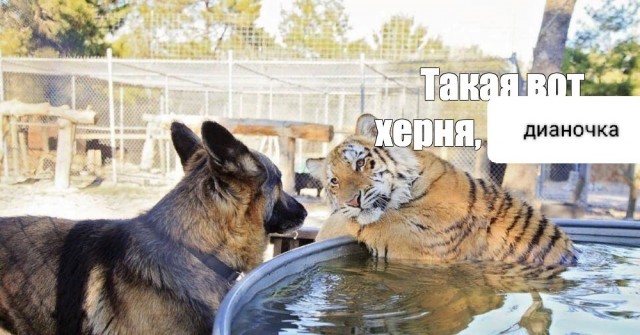 На суд общественности