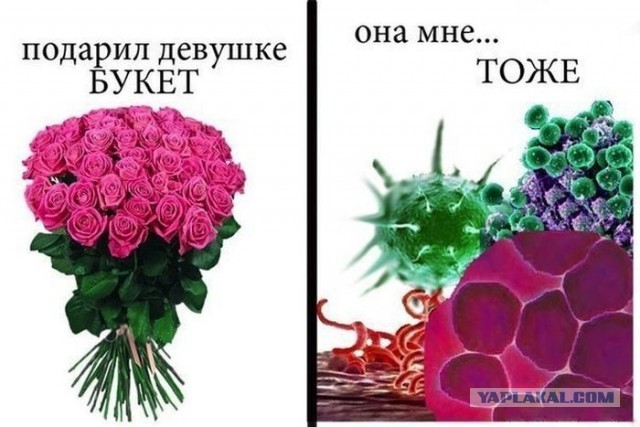 У деда на выходных в деревне
