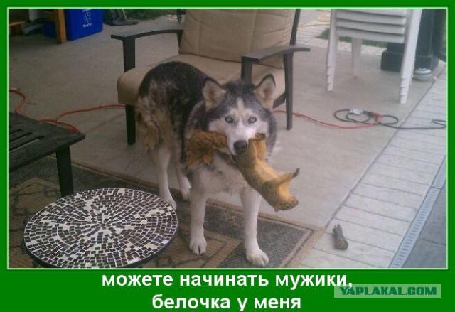 Уставилась
