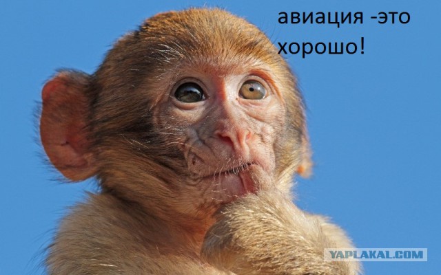 77 самолетов и более 100 вертолетов в 2013 году!