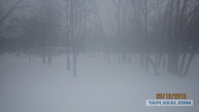 Пурговое