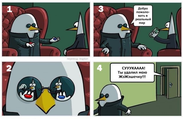Следуй за мной