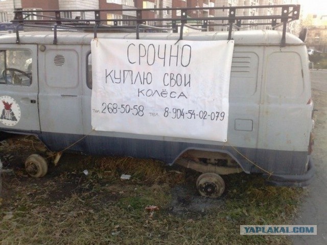 Подборка забавных фотографий
