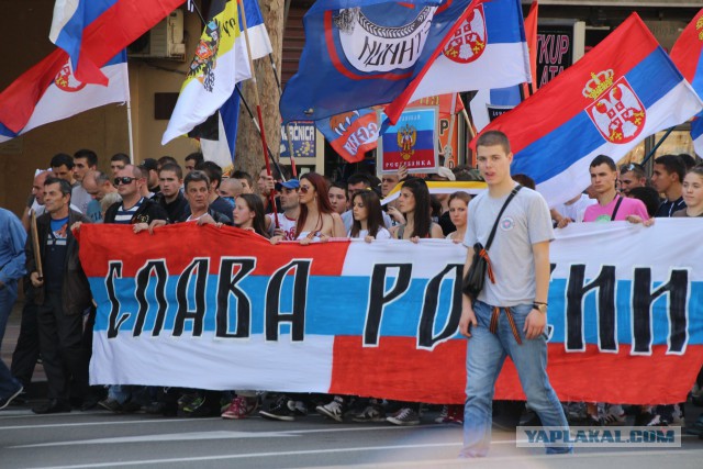 А в это время в Белграде