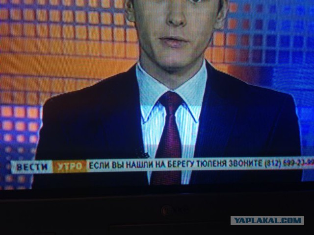 Позитивные картинки