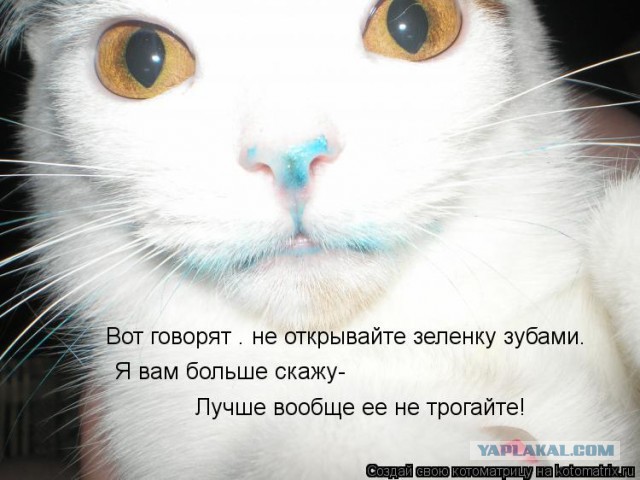 Всем зеленки!