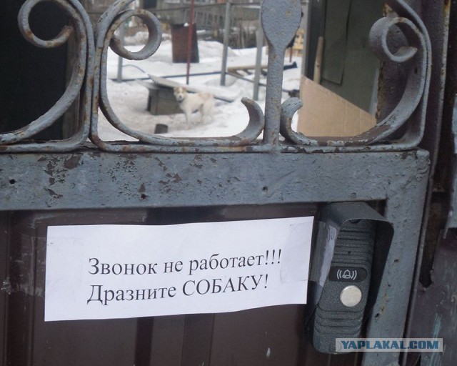 Веселые картинки