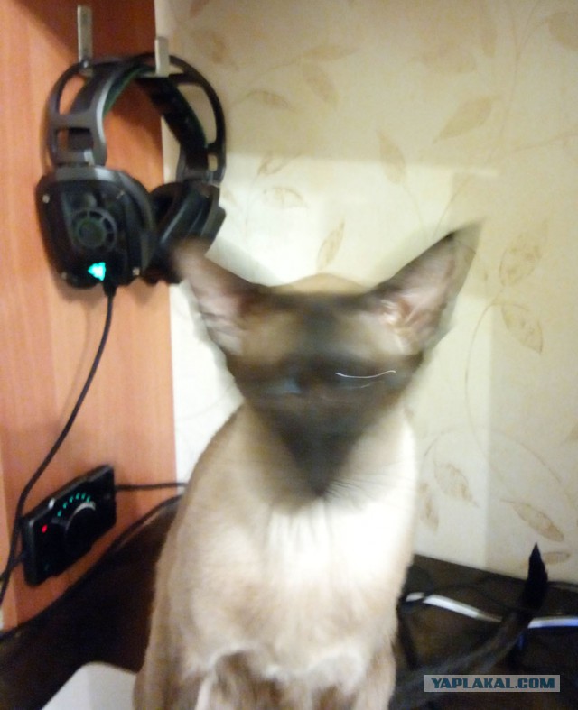 Рукожопим рабочее место...