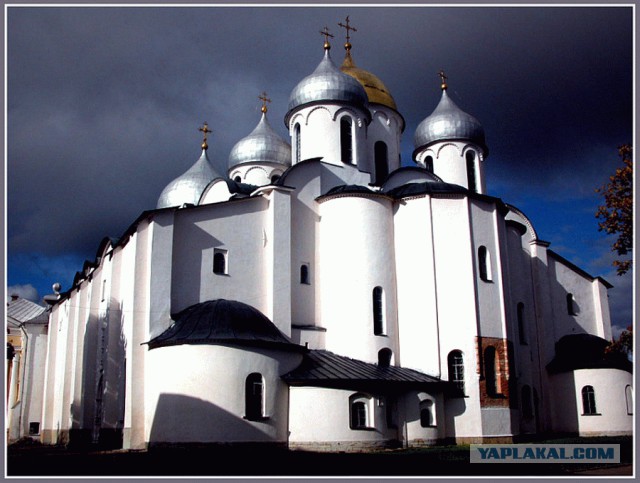 Тамбовский волк тебе товарищ...