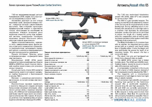 Боевое стрелковое оружие России
