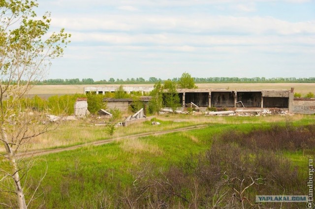 S.T.A.L.K.E.R. Игра в Барнауле