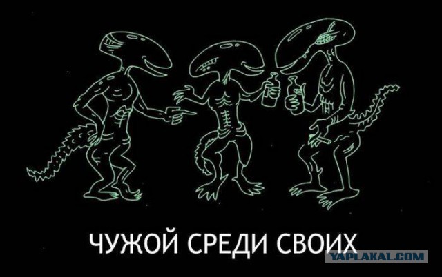 Весёлости в картинках