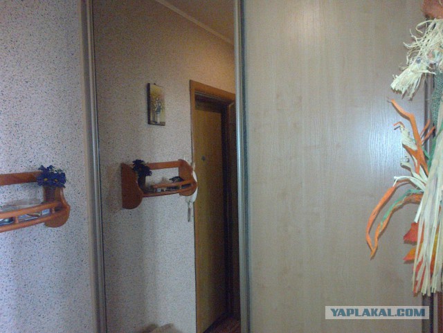 Сдам однушку в Москве. В ЮАО.