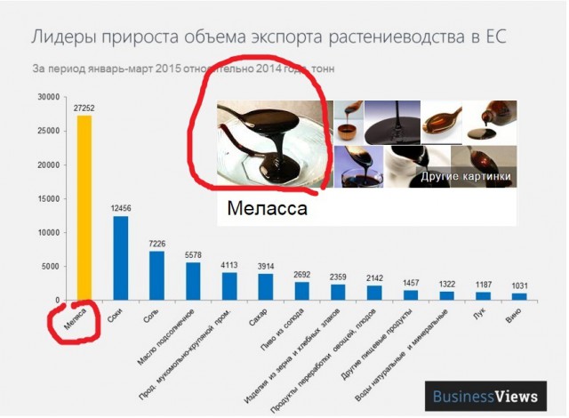 Поездка на Луганщину-2015
