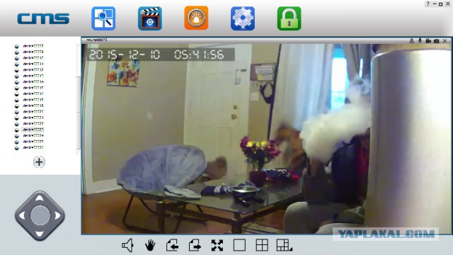 За что я люблю китайцев