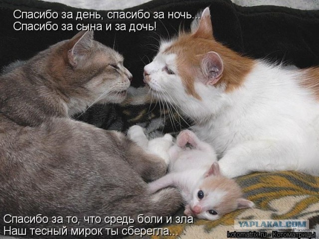 А давайте улыбнёмся В Новом Году