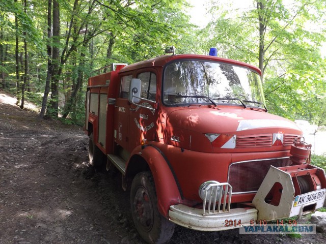 Неандерталь автомобильный