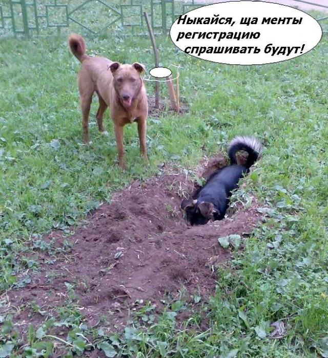 Фотожаба: да здесь где-то недалеко!