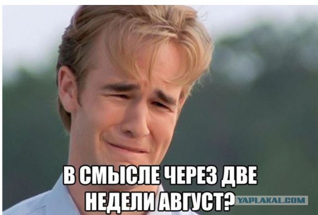 Ассорти картинок из сети