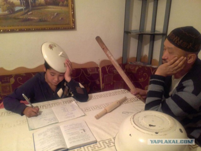 Проверяя задания, учителя плакали от смеха…
