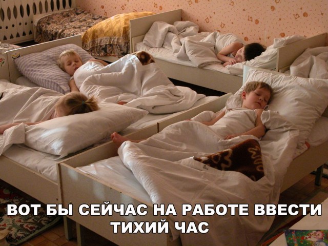 Подборка безудержного веселья
