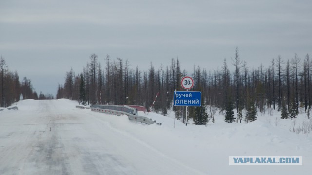 Новый Уренгой-Надым, покатушки  в выходные на День Оленевода