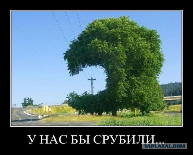 Мастера, которые не знают, что значит «качество» и «профессионализм»