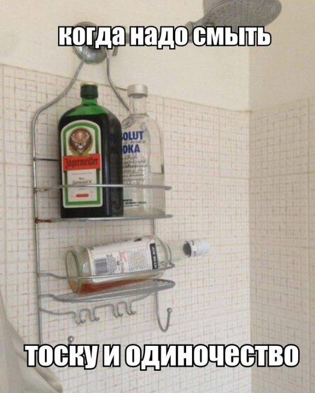 Подборка безудержного веселья