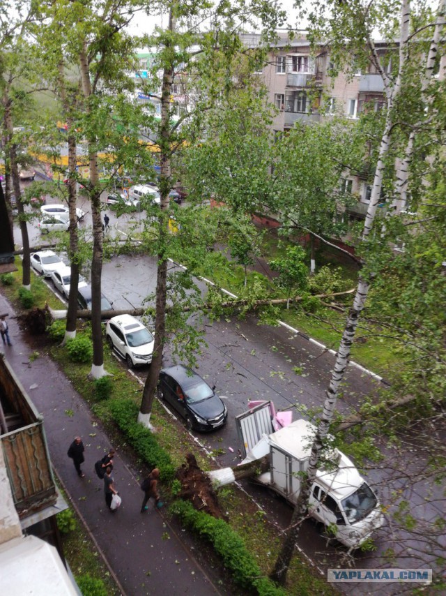 В Москве ураган!