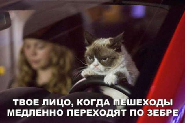 Смешные картинки
