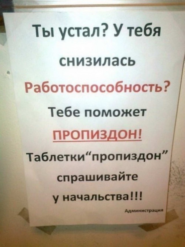 30 объявлений, мимо которых вы просто не сможете пройти