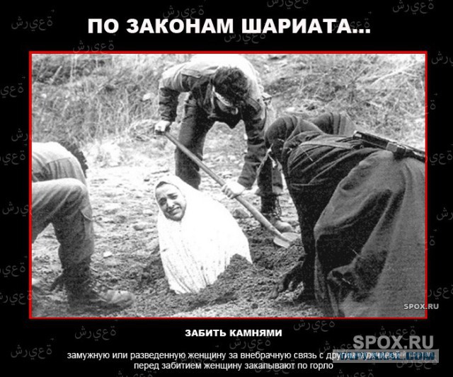 Хочу ПДД, как у саудитов!