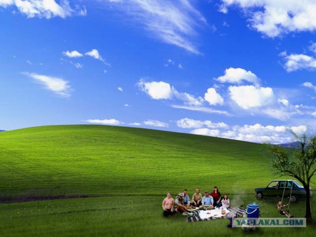 100 тысяч долларов против 45 долларов: разница в гонорарах авторов обоев Windows XP