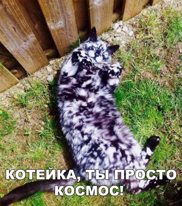 Четверг, это маленькая пятница! Картинки с подписями.