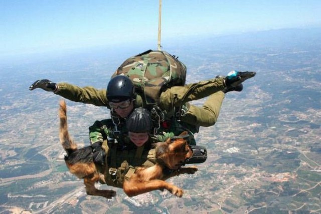 Забавные фото парашютистов