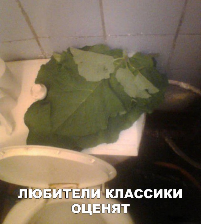 Нестандартный юмор