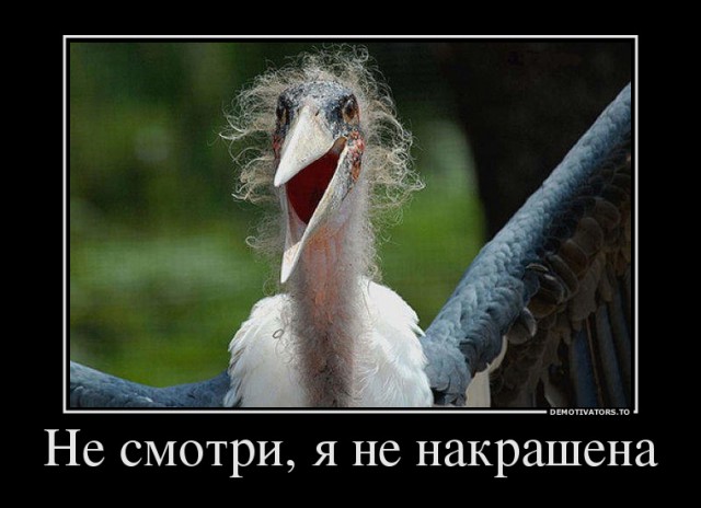 Вот так нас и обманывают макияжем
