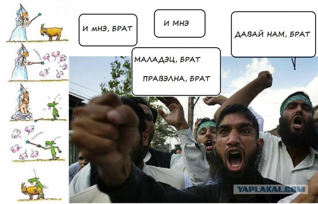 Пссс, парень... Чернушки надо?