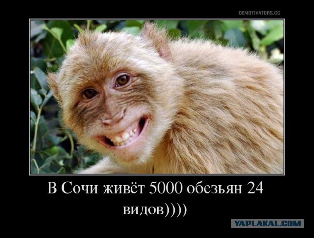 РПЛ 2018-2019(часть II)