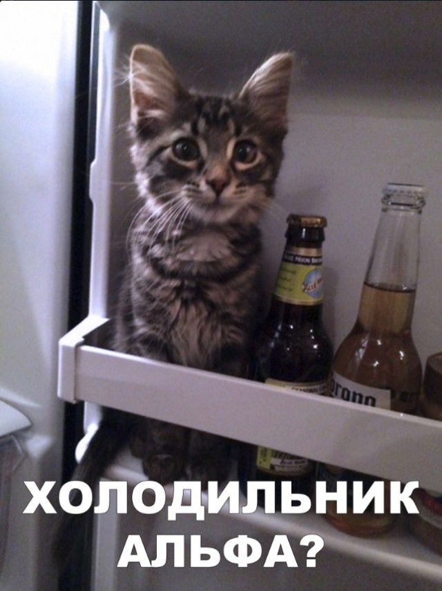 Нестандартный юмор