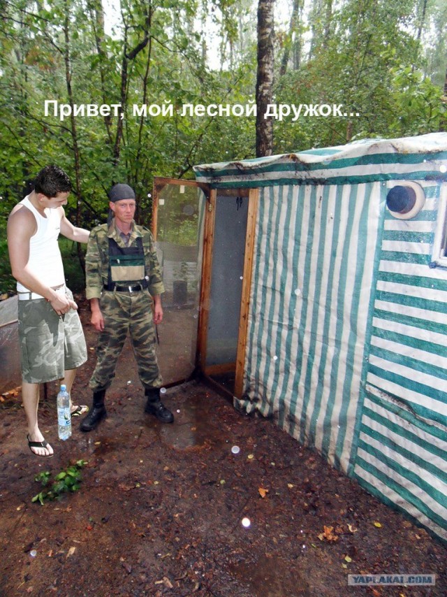 Человек, который живет в лесу и делает сайты.