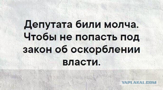 На главу ЦИК Эллу Памфилову напали у нее дома и ударили электрошокером