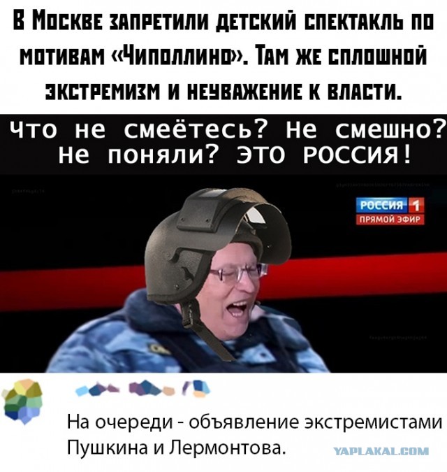 Чуток картинок 08.11.19