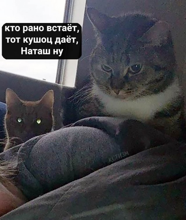 Каждое. "Доброе". Утро