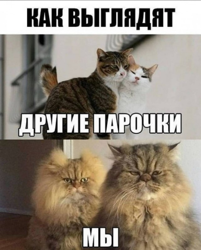 Немного картинок для настроения 11.03.20
