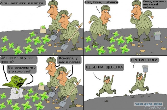 Фотожаба: Йода и русский мужик
