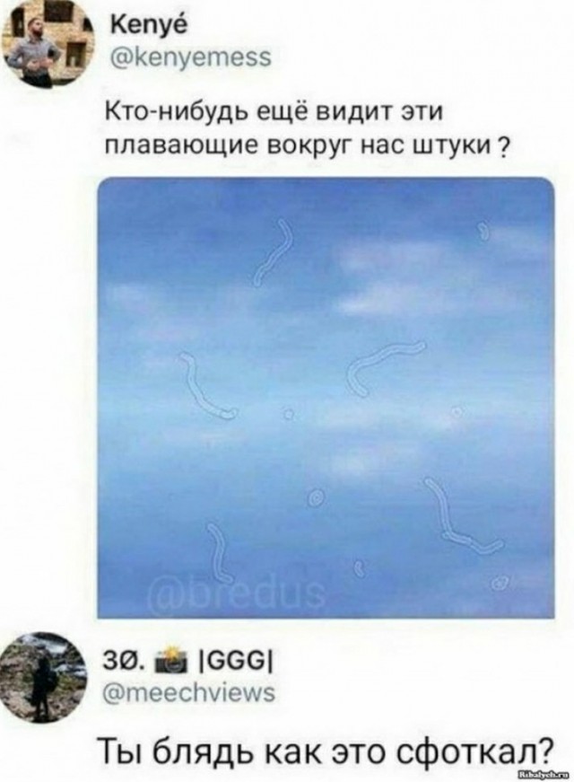 Немного картинок для настроения 30.08.20