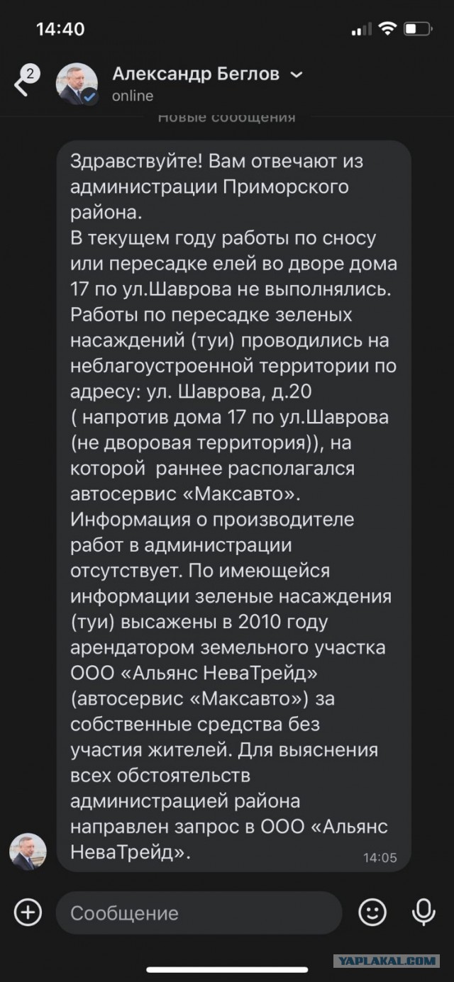 У жителей Приморского района Петербурга украли елки, чтобы посадить их у храма