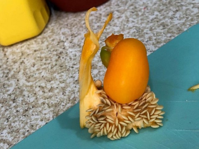 Необыкновенные штуки, которые жизнь подкидывает нам