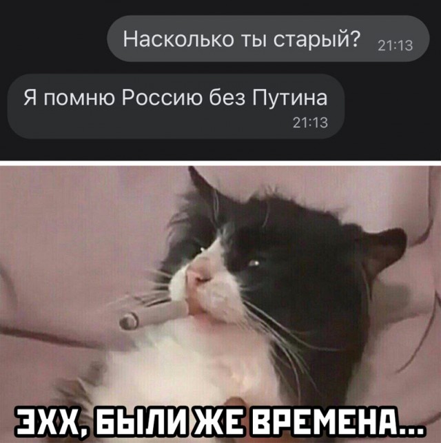 Весёлый полтишок 16.03